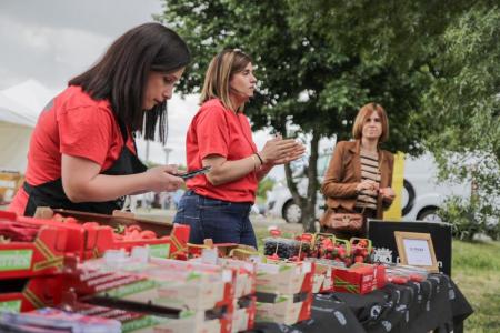 Imagen La Diputación de Segovia concede 131 ayudas a empresas y asociaciones de Alimentos de Segovia para reforzar la actividad del sector agroalimentario